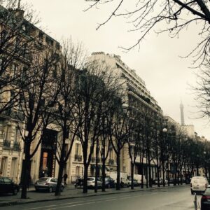 Paris isn’t just a stop — it’s a living poem, whispering in every street, café, and garden -Trips With Sam