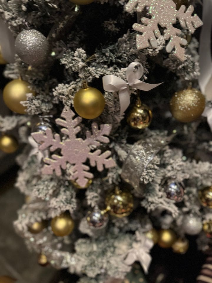 Christmas 2025 celebrations by Trips With Sam