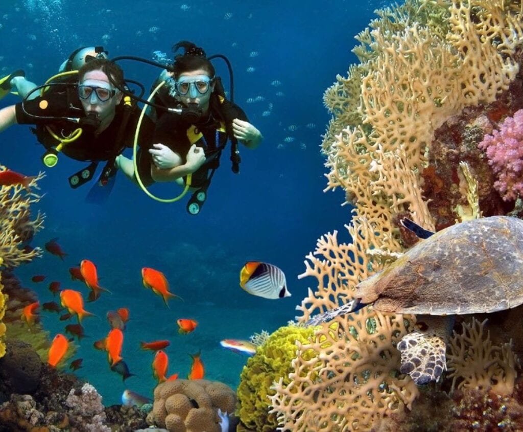 Maldives Luxury Trip Itinerary -7 Days | Trips with sam